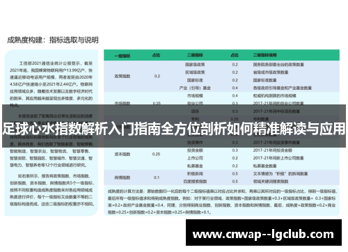 足球心水指数解析入门指南全方位剖析如何精准解读与应用 足球心水指数解析入门指南全方位剖析如何精准解读与应用