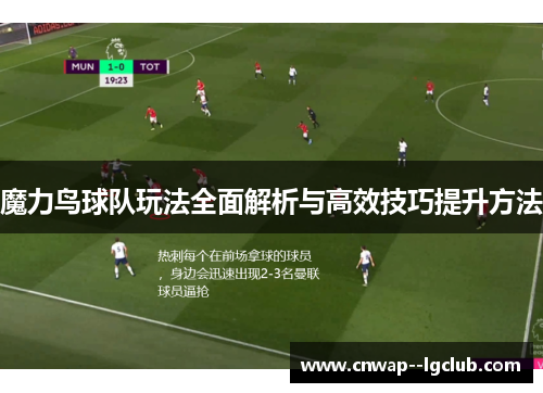 魔力鸟球队玩法全面解析与高效技巧提升方法