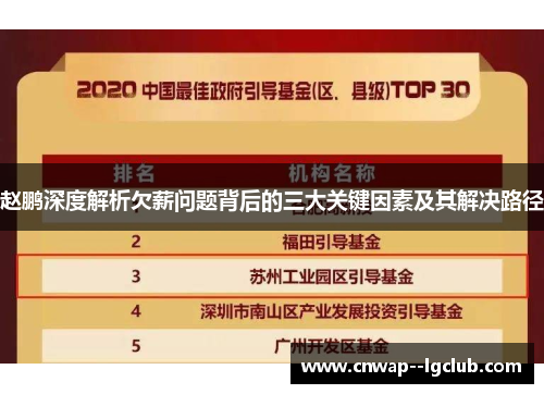 赵鹏深度解析欠薪问题背后的三大关键因素及其解决路径