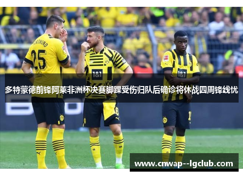多特蒙德前锋阿莱非洲杯决赛脚踝受伤归队后确诊将休战四周锋线忧
