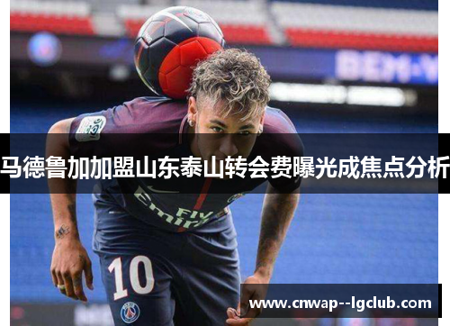 马德鲁加加盟山东泰山转会费曝光成焦点分析