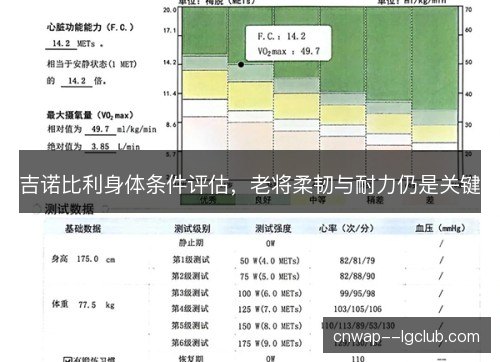 吉诺比利身体条件评估，老将柔韧与耐力仍是关键